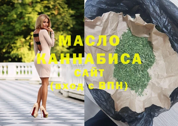 молекула духа Богданович