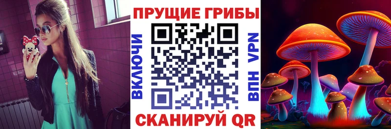 что такое   blacksprut сайт  Галлюциногенные грибы Psilocybine cubensis  Новоржев 